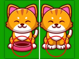 Find the Odd Animal Puzzle