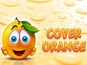 Fruit Shield Puzzle Adventure