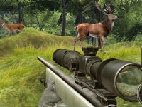 Nature Explorer Observation Game
