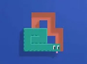 Snake Path Puzzle