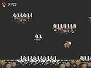 Fungus Rescue Quest